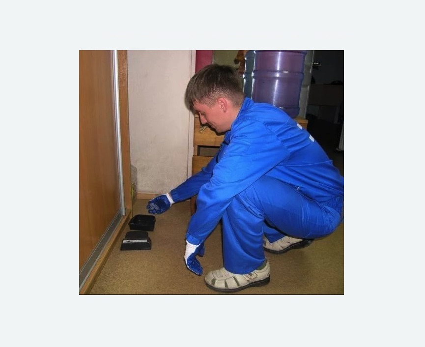 Дератизация крыс Дератизация крыс в Ступино