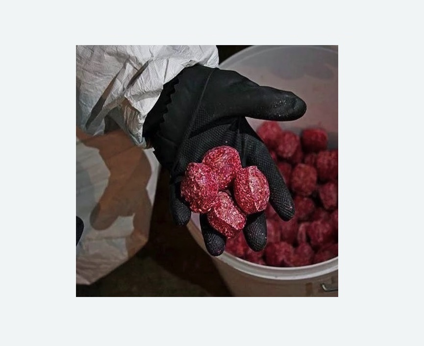 Обработка от крыс Обработка от крыс в Ступино