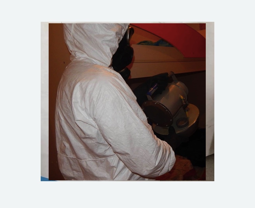 Дезинфекция от муравьев Дезинфекция от муравьев в Ступино