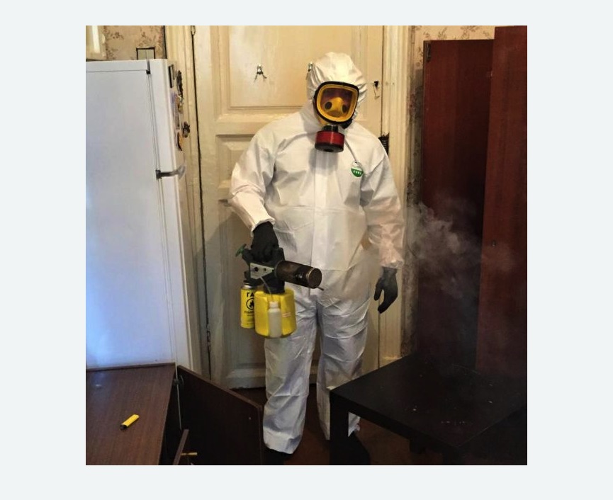 уничтожение муравьев в квартире уничтожение муравьев в квартире в Ступино